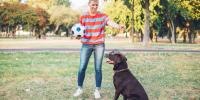 person in striped shirt, holding a soccer ball, and playing with a chocolate lab