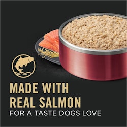 Made With Real Salmon