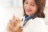Dra. Emily Cross, veterinaria, diplomada de la American Board of Veterinary Practitioners