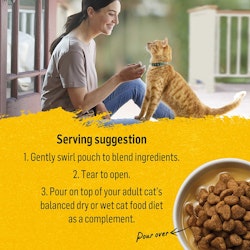 Beyond mixers cat variety pack serving suggestion