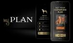 My Plan