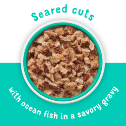Seared Cuts in a savory gravy