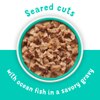 Seared Cuts in a savory gravy