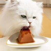 White cat eating Fancy Feast Gems off of a plate