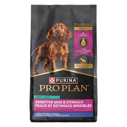 Purina Pro Plan Sensitive Skin & Stomach Puppy Lamb & Oat Meal Formula 