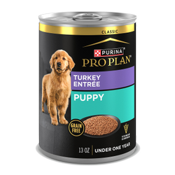 Purina Pro Plan Grain-Free Classic Turkey Entree Wet Puppy Food Purina Pro Plan Grain-Free Classic Turkey Entree Wet Puppy Food