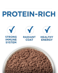 alimento para gatos sénior domésticos rico en proteínas
