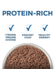 alimento para gatos sénior domésticos rico en proteínas