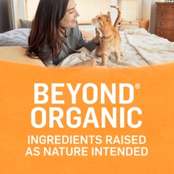 Beyond Organic Chicken & Carrot Recipe Paté Natural Wet Cat Food