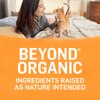 Beyond Organic Chicken & Carrot Recipe Paté Natural Wet Cat Food