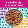 Sin conservantes artificiales