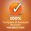 Una nutrición 100 % completa y equilibrada para gatos
