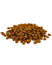 Pro Plan Prime Plus Salmon & Rice Dry Cat Food bowl