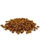 Pro Plan Prime Plus Salmon & Rice Dry Cat Food bowl