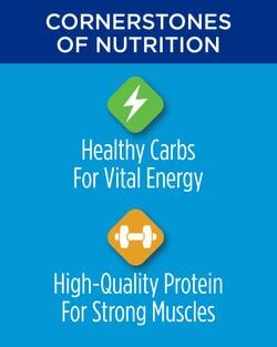 los pilares de la nutrición, carbohidratos saludables para energía vital, proteínas de alta calidad para músculos fuertes