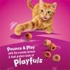  Pounce and Play with the crunchy texture and dual protein taste of Playfuls