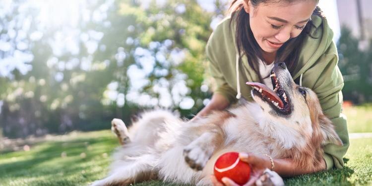 a woman playing with a dog
