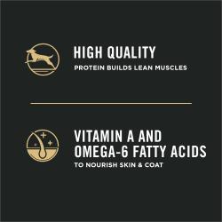la proteína de alta calidad favorece el desarrollo de músculos magros, vitamina A y ácidos grasos omega 6