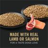 Pro-plan-sensitive-skin-and-stomach-canned-wet-dog-food-variety-pack-with-real-samon-and-lamb