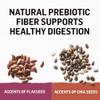 natural prebiotics fiber supports digestive health