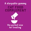 A slurpable yummy cat food complement