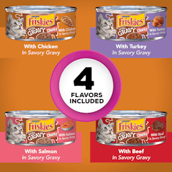 Friskies Extra Gravy Chunky Wet Cat Food Variety Pack 24 Count