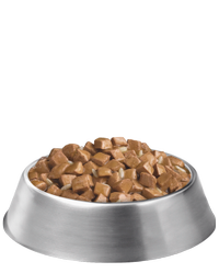 Bowl of wet dog food
