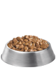Bowl of wet dog food