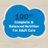 100 pct complete and balanced nutrition for adult cats