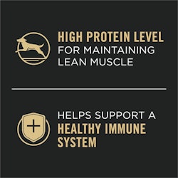 High Protein Level, Helps Support a Healthy Immune System