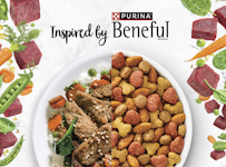 Inspired by Beneful. A bowl that is one-half human food and the other half dog food.