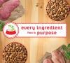 Cada ingrediente tiene un propósito
