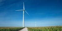 Wind Power at Purina 
