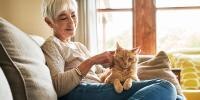 Woman petting her cat