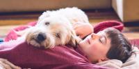 fluffy cream colored dog laying its head on a boy's chest
