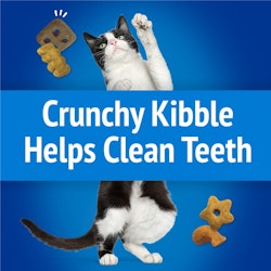 Crunchy Kibble Helps Clean Teeth