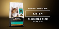 Pro Plan Kitten Chicken & Rice Formula