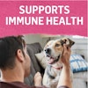 fortalece la salud del sistema inmunitario