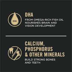 DHA From Omega-Rich Fish Oil Nourishes Brain And Vision Development