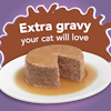 extra gravy your cat will love