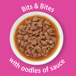 bits and bites with oodles of sauce