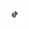 pieces of dry  dog food