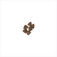 pieces of dry  dog food