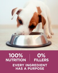 100 % de nutrición y 0 % de rellenos. Cada ingrediente tiene un propósito