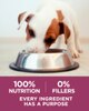 100 % de nutrición y 0 % de rellenos. Cada ingrediente tiene un propósito