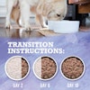 transition instructions