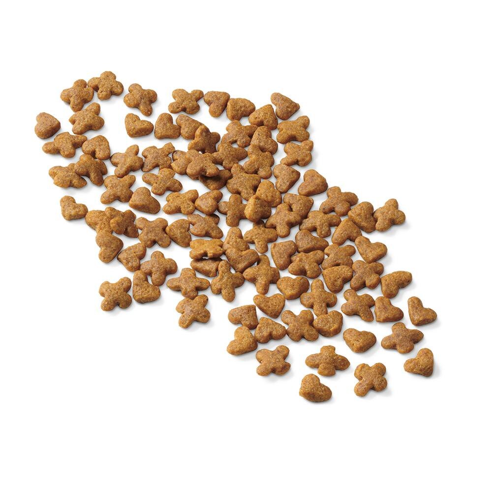 Purina Kitten Chow Kitten Food Healthy Development with Real Chicken