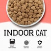 alimento para gatos domésticos