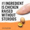 Chicken number one ingredient without steroid