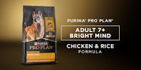 Pro Plan Adult 7+ Bright Mind Chicken & Rice Formula